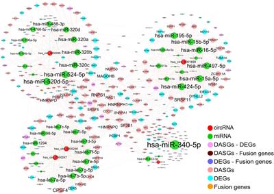 Integrative analysis of synovial sarcoma transcriptome reveals different types of transcriptomic changes